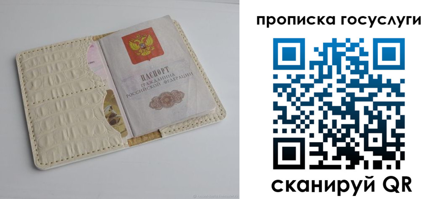 прописка в Дмитрове